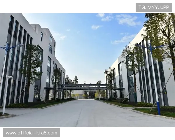 揭秘凯发集团地址下载网址背后的资源与平台 揭秘凯发集团地址下载网址背后的资源与平台