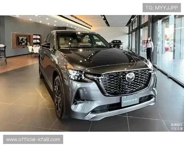 跑得快的汽车品牌推荐，带你体验极速驾驶的无穷乐趣