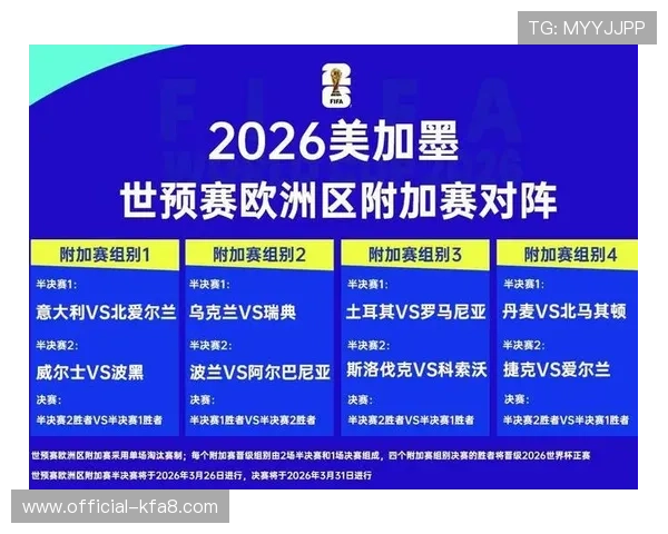 2026年世界杯参赛国家名单公布，分析各国晋级背景及未来比赛展望